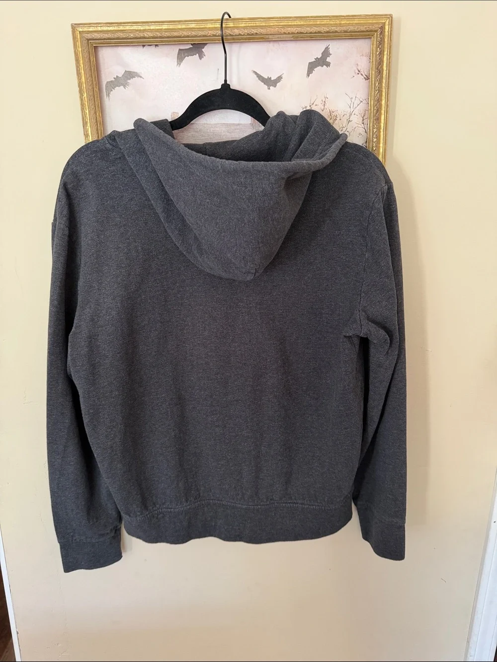 Polo by Ralph Lauren Dark Charcoal Zip Hoodie